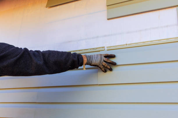 Affordable Siding Repair and Maintenance Services in Princeton, NC